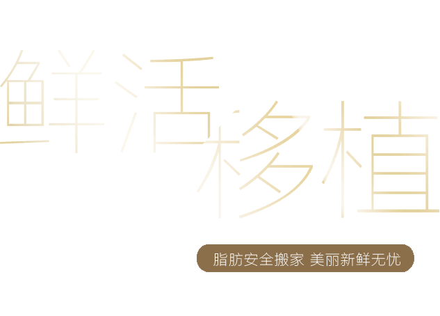 深圳自体脂肪移植