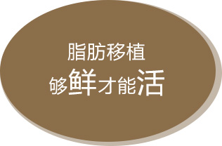 自体脂肪移植多少钱