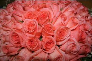 深圳比基尼脱毛好吗?